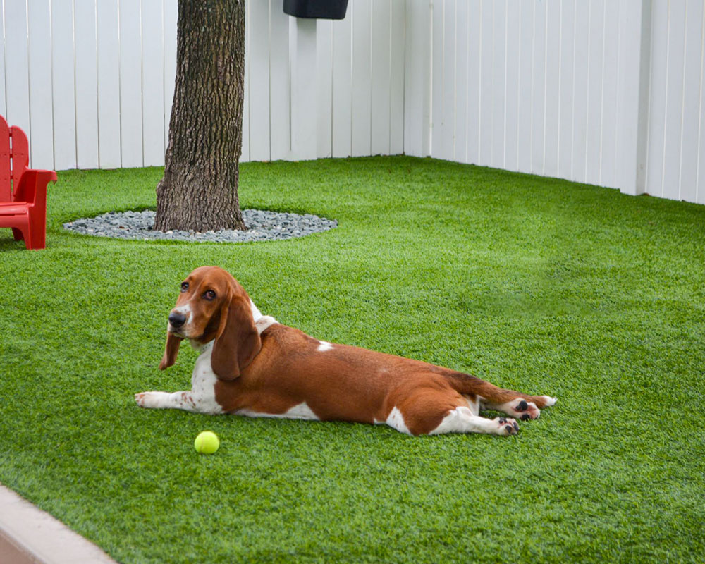 Golden Vale Synthetic Turf® | Parker Outdoor Supply